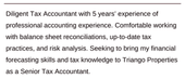 An accountant CV personal statement example with a green line above it