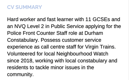 A school leaver CV summary with a powder blue title.