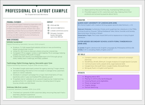 An example of a two-page side-by-side professional CV with its CV sections highlighted in different colored boxes on a light grey background to illustrate a professional CV layout
