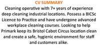 A cleaner CV summary with an orange title.