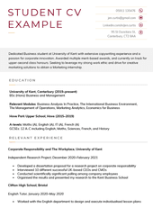 An example of a student CV