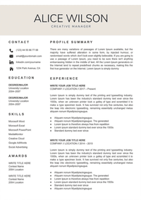 NewLondonStudio's Google Docs CV template