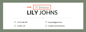 An example of an IT director job title for a female applicant on their CV header