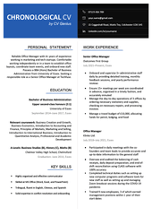 An example of the chronological CV format