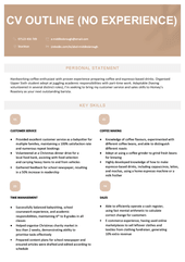 A CV outline template with a peach-coloured design theme.