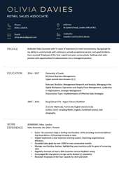 A CV template with outline-style CV icons in the contact information section