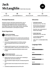 An image of the first page of the basic Canva CV template alternative