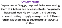 A CV summary for a supervisor with a purple title.