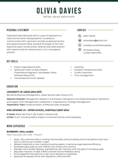 An image of the first page of the modern Canva CV template alternative
