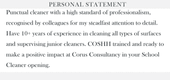 A cleaner CV personal statement example with gray top-and-bottom border highlights