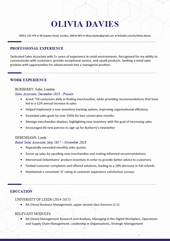 An image of the first page of the professional Canva CV template alternative