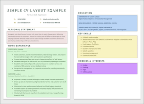 Example of a two-page simple CV displayed side-by-side with different CV sections highlighted in coloured boxes on a light grey background to illustrate how a simple CV should look like.