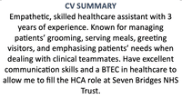 A CV summary for a healthcare assistant with a midnight blue title.