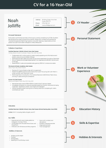 How to lay out your CV for a 16 year old, as shown in an infographic that contains a blooming flower in the background.