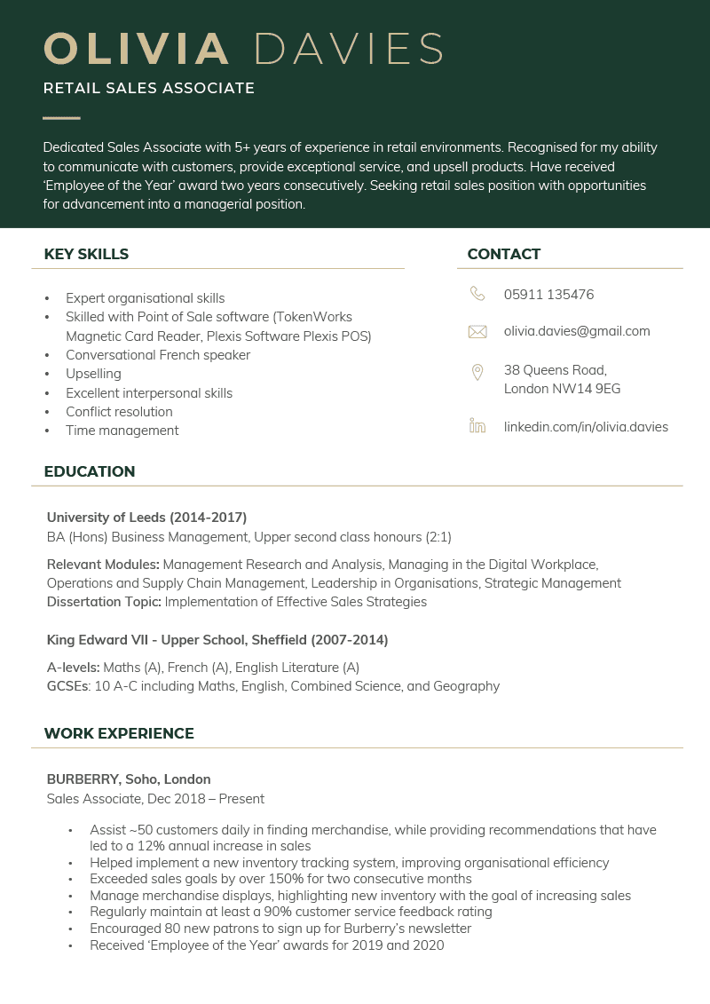 The "Dynamic" CV Template