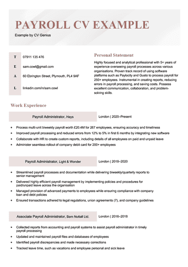 A payroll CV example with red highlights.