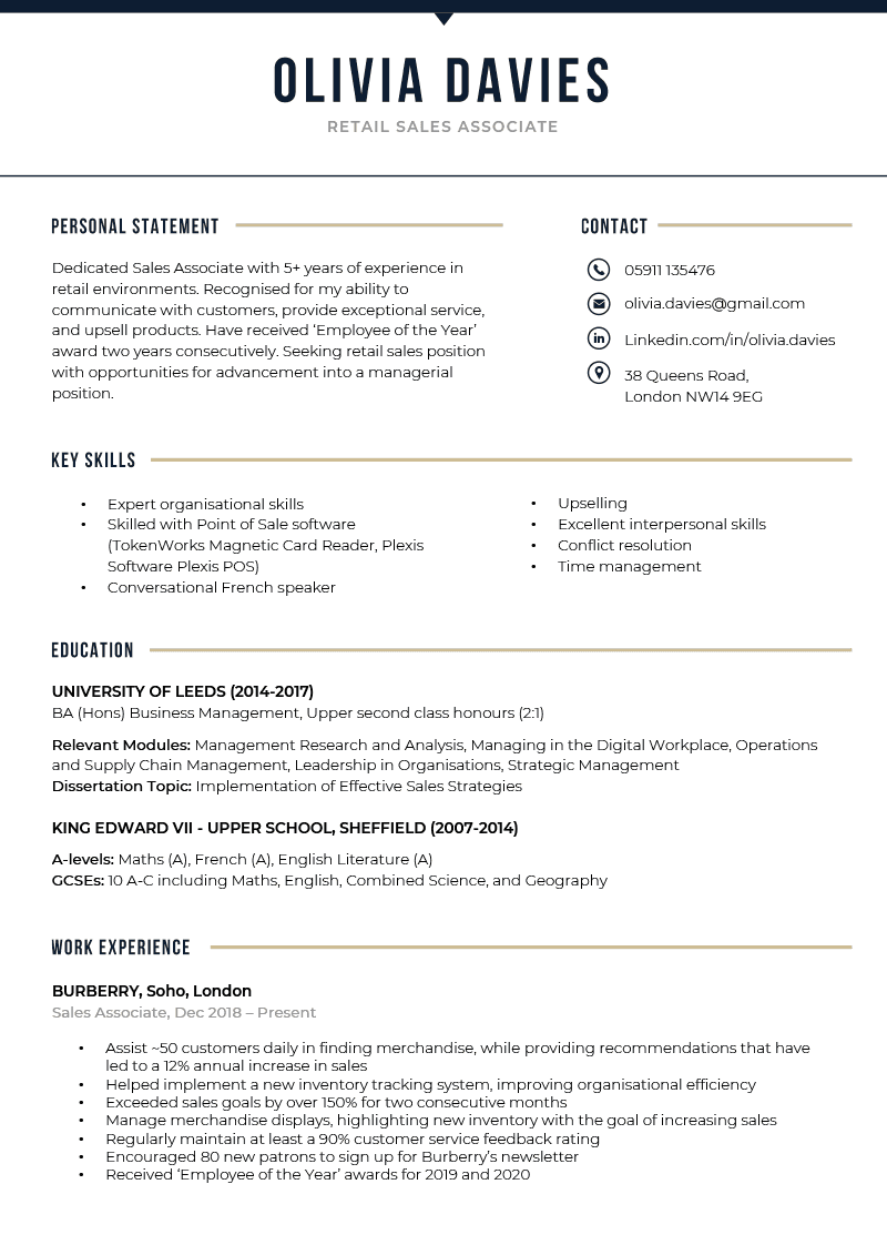 The Bold CV Template in dark blue