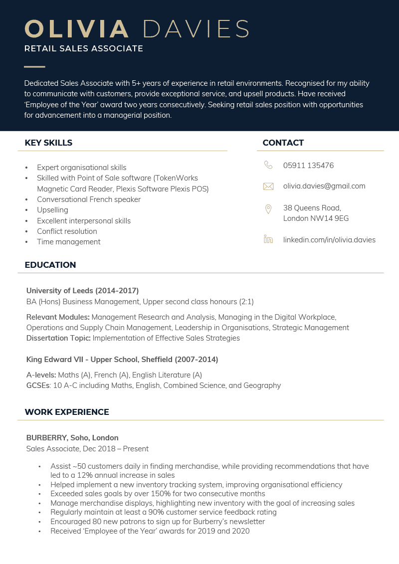 The "Dynamic" CV Template in dark blue