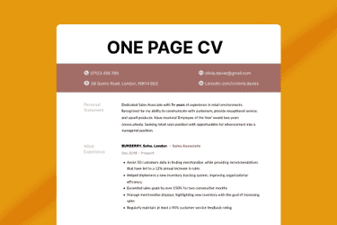 illustration of a one page CV