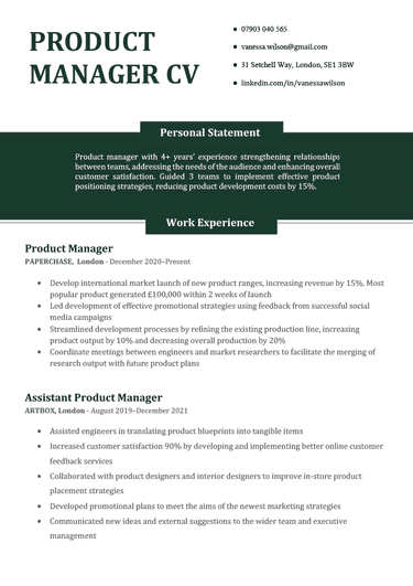 A CV example for a product manager