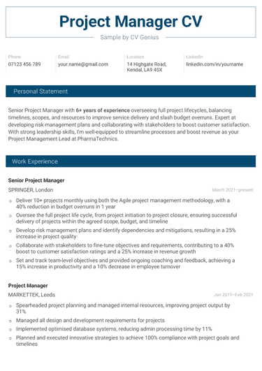 A project manager CV example