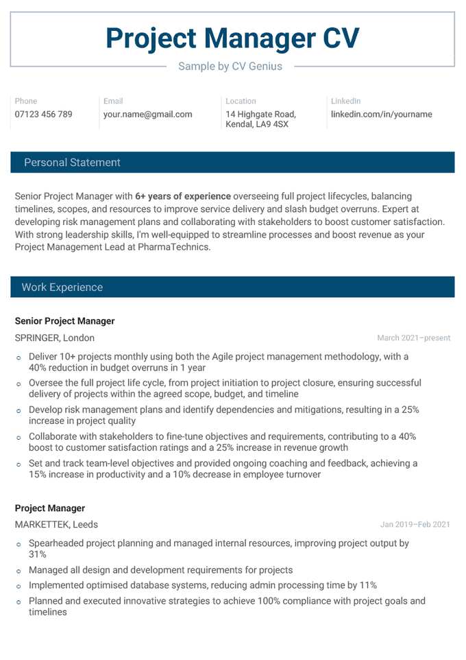 A project manager CV example