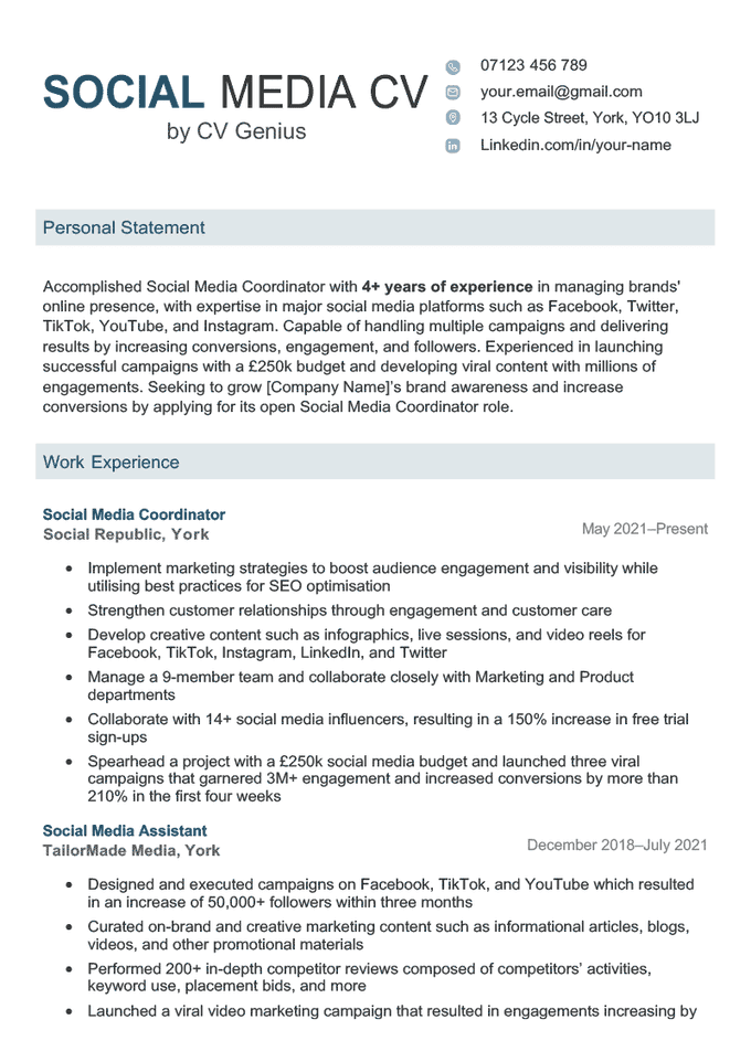 A social media CV template example