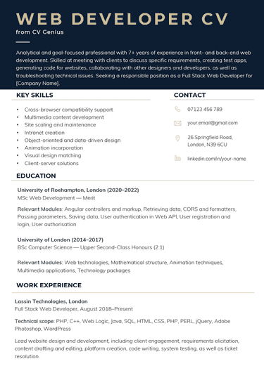 A web developer CV example