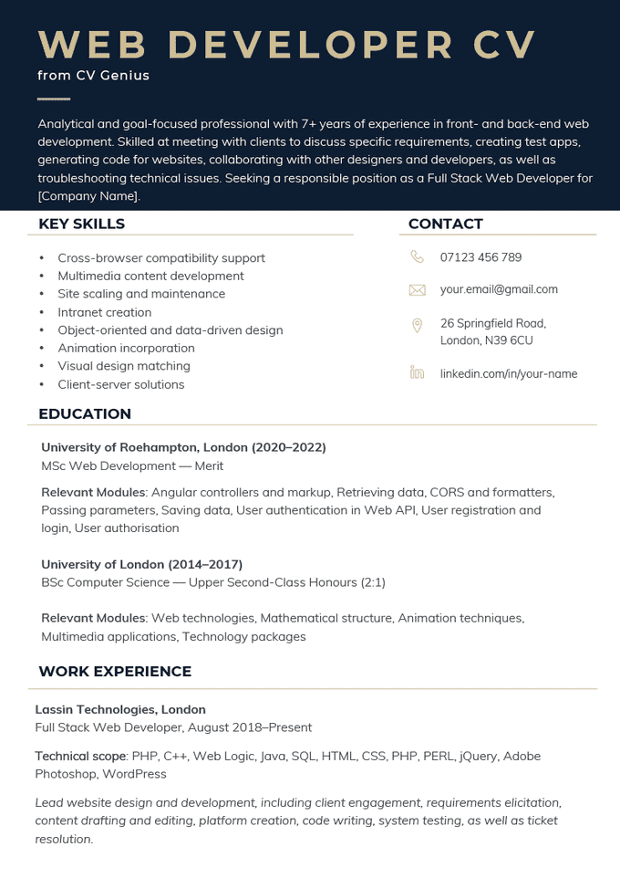 A web developer CV example