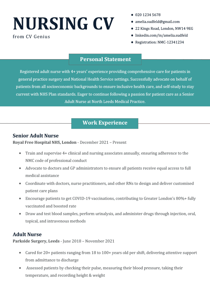 A nursing CV template