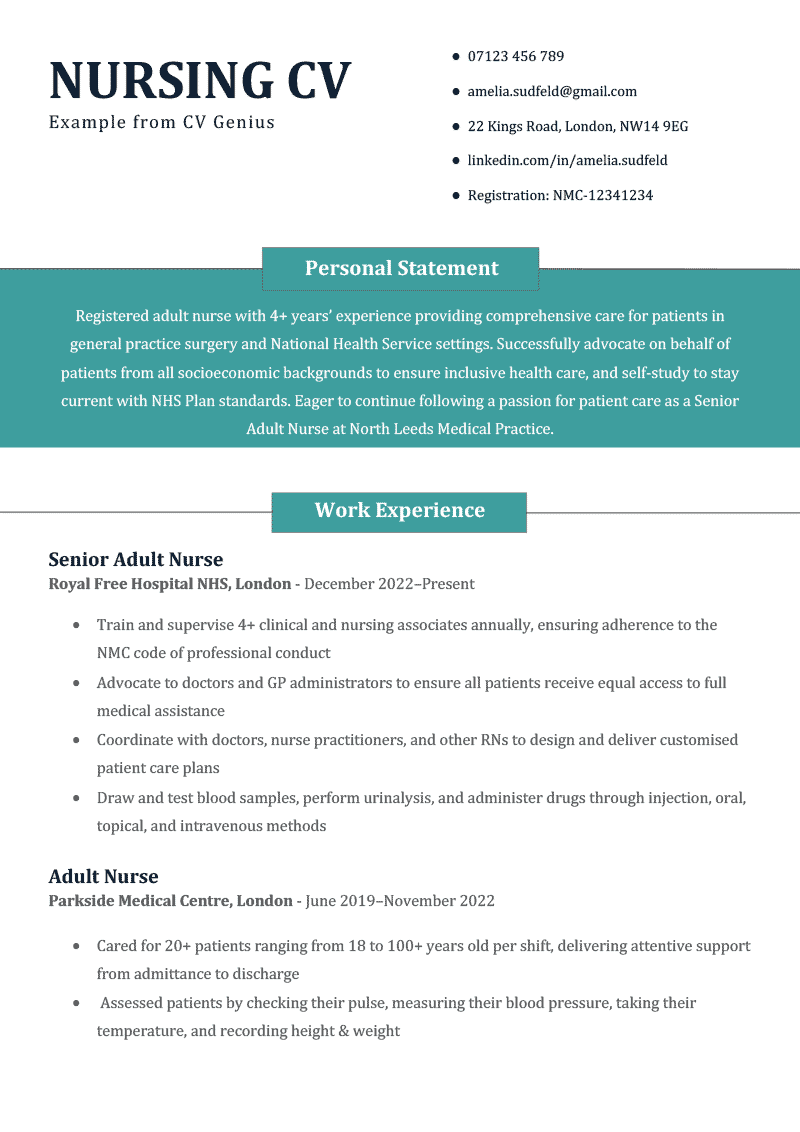 An image of the first page of a nursing CV example