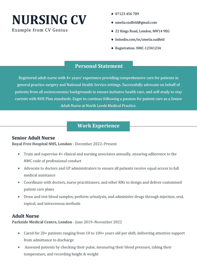 An image of the first page of a nursing CV example