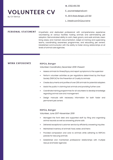 The first page of a volunteer CV example with a blue bar on the left side and sections for the applicant's name and contact information, personal statement, and work experience