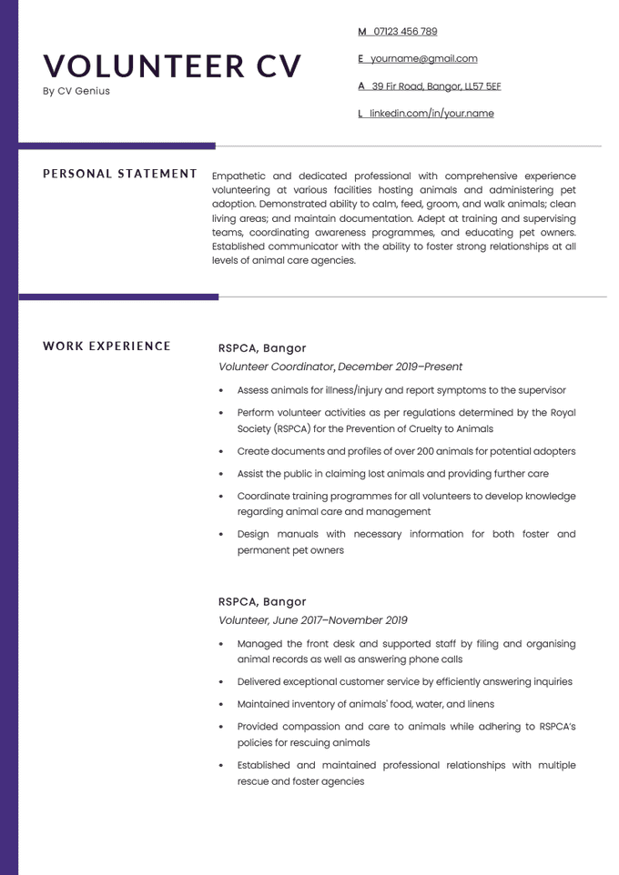 The first page of a volunteer CV example with a blue bar on the left side and sections for the applicant's name and contact information, personal statement, and work experience