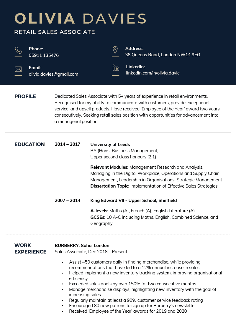 The Corporate CV Template in dark blue
