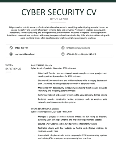A cyber security CV example