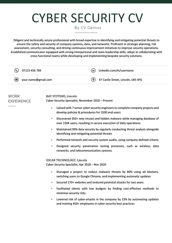 A cyber security CV example